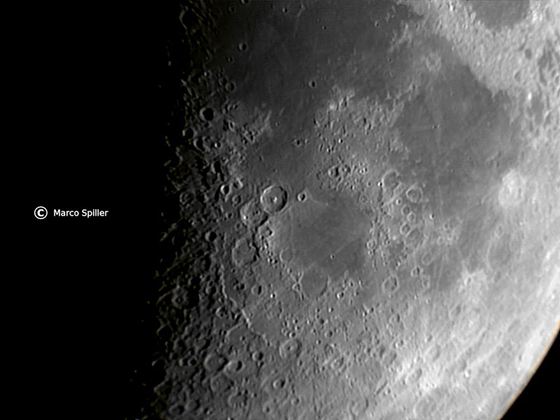 Theophilus & Company